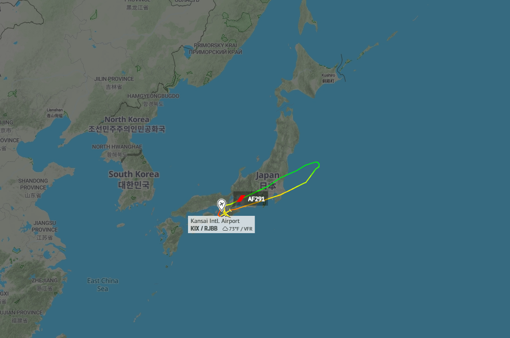 机上载324人！法航一架空客A350遭鸟击“机鼻凹陷”返航日本大阪 
