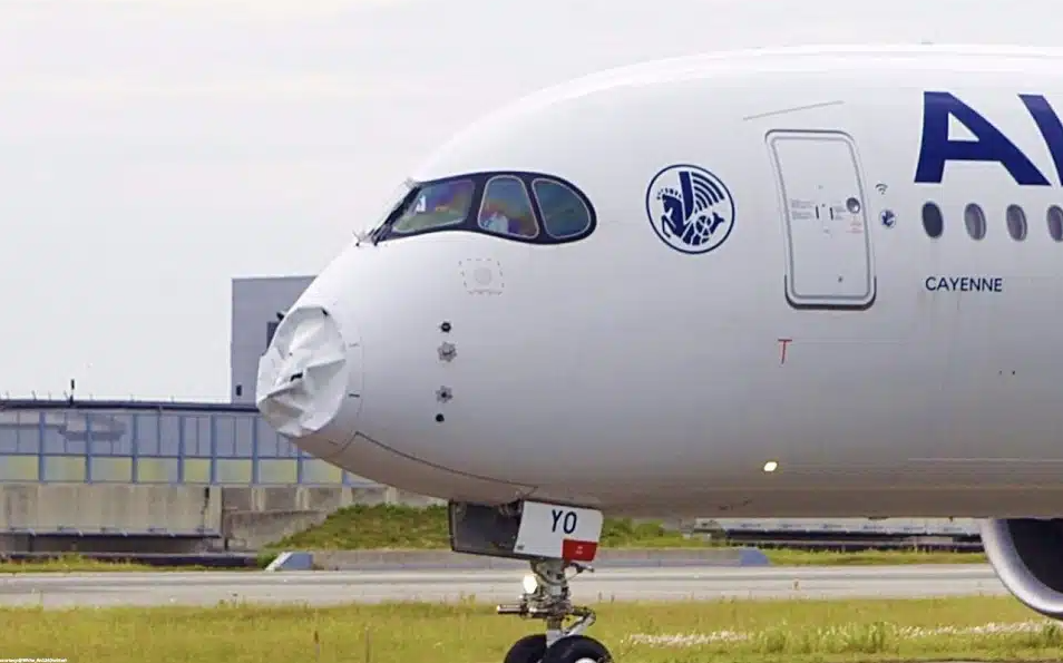 机上载324人！法航一架空客A350遭鸟击“机鼻凹陷”返航日本大阪 