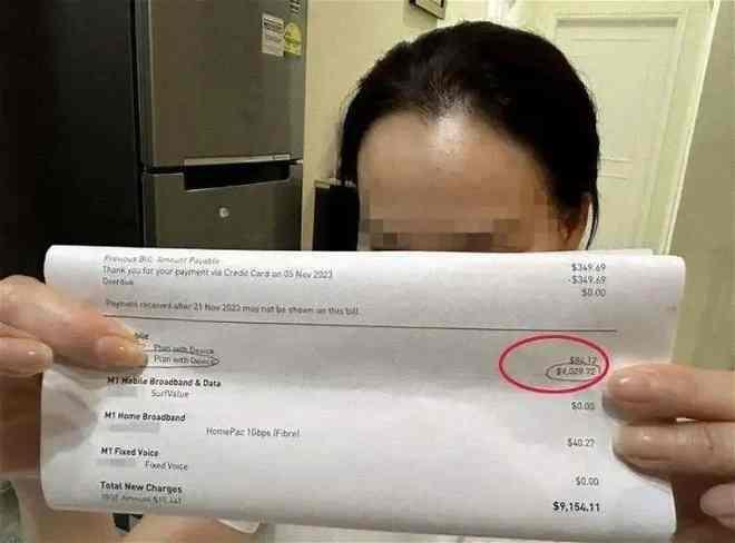 国外转机两小时用手机漫游  女子惊接近5万元账单