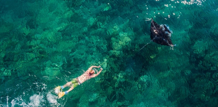 斐济亚萨瓦群岛一名潜水员正在追逐“魔鬼鱼”。