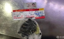 旅客海南三亚乘飞机  把乌龟藏在裆部过安检被查