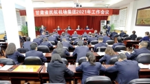 甘肃省民航机场集团召开2021年工作会议