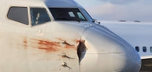 美国航空一架波音737客机准备降落时撞上一群鹅 飞机受损