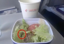 女子在飞机餐中吃出活蜗牛 希望航空公司公开道歉