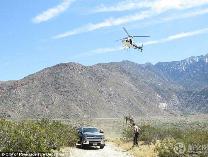 美国用直升机救马
