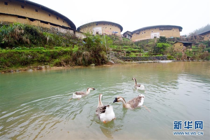 福建初溪土楼群。