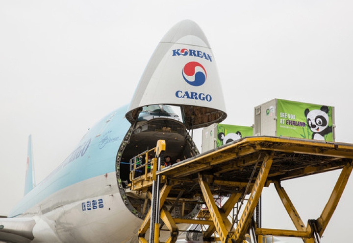 20160303155021a49e8_550