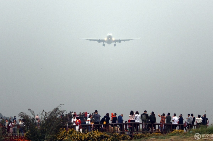 国庆期间成都空港花田吸引众多游客近距离观看飞机降落