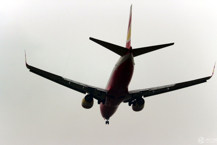 国庆期间成都空港花田吸引众多游客近距离观看飞机降落